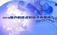 nra賬戶的優(yōu)點(diǎn)和缺點(diǎn)有哪些？