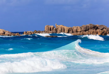 塞舌爾公司逾期年審有什么后果？