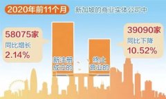 增長！增長！疫情背景下新加坡公司新注冊數量逆勢增長！