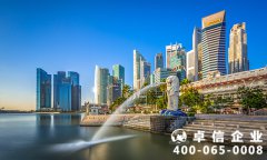 新加坡企業(yè)結(jié)構類型有哪些