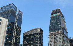 新西蘭公司注冊對股東資格要求全面解析