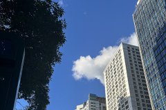 谷歌支付登陸沙特，支付寶于2026年接入，企業(yè)出海中東市場(chǎng)開(kāi)辟新的合作機(jī)遇