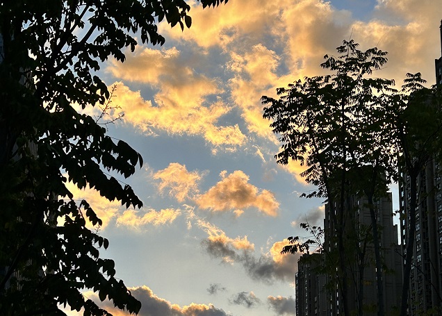 尼泊爾公司注冊(cè)常見(jiàn)法律實(shí)體類(lèi)型詳解