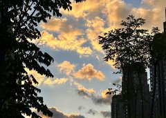 【深度解讀】2025年泰國用工風向：合規(guī)+成本雙維度，避免“無知吃虧”的5大雷